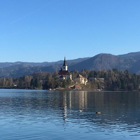 Vila Cerne Блед Экстерьер фото