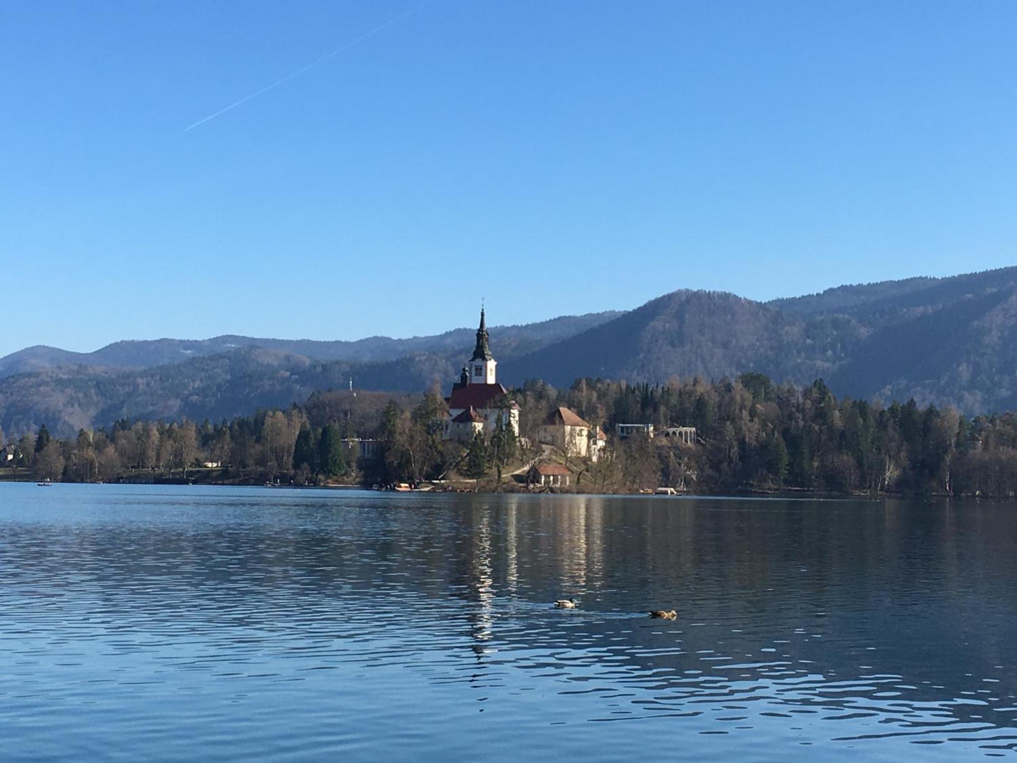 Vila Cerne Блед Экстерьер фото